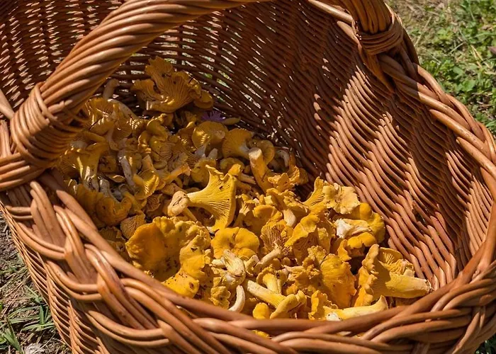 Siodma Wyspa * Lupawsko