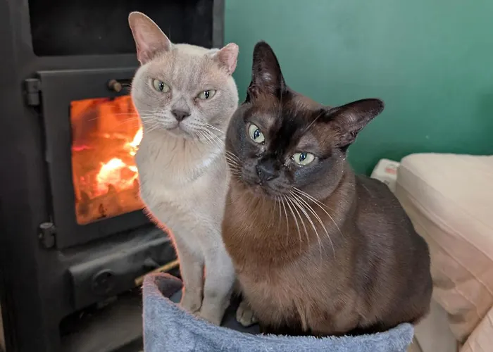 Siodma Wyspa אכסניה