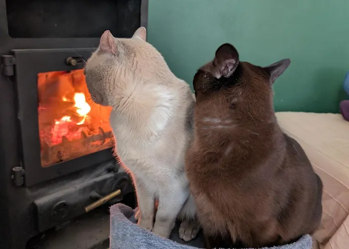 Siodma Wyspa אכסניה *