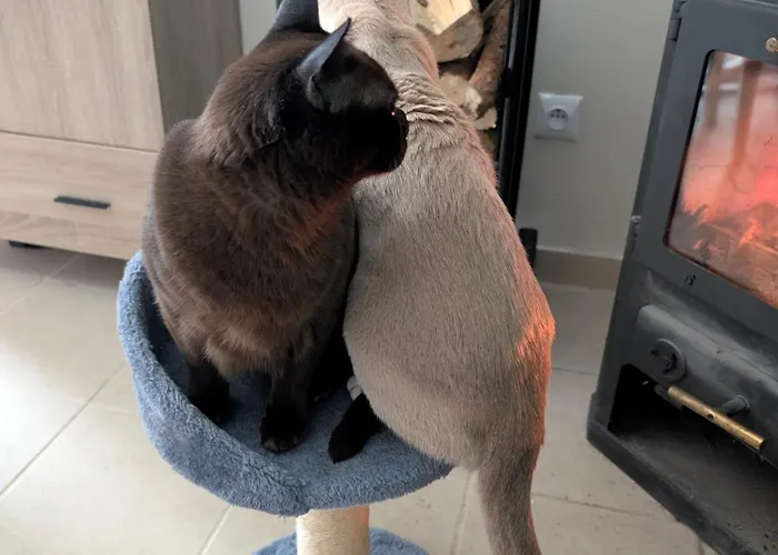 Siodma Wyspa אכסניה Lupawsko